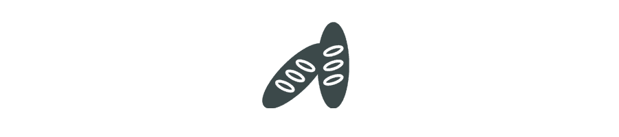Abstract illustration of coffee leaves and beans.